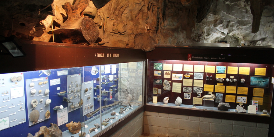 Natuurhistorisch Museum Boekenberg